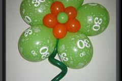 Blume 30