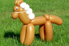 Pferd