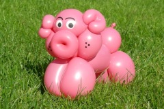 Schwein
