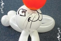 Seerobbe